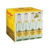 Agua Mineral Topo Chico 12/355ml Vidrio
