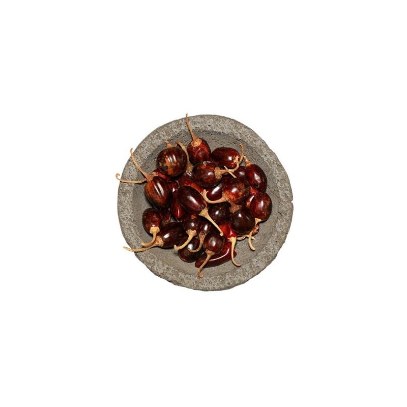 Chile Catarino Chef & Hotel 1 Kg