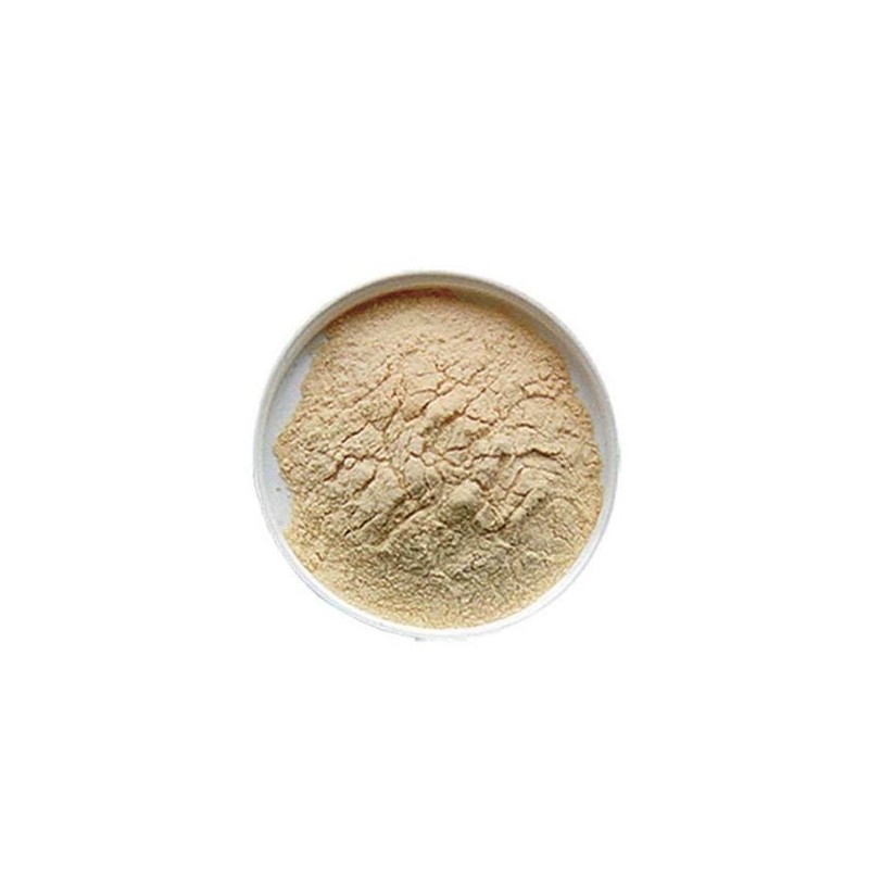 Malta polvo para Malteadas Maltalac Bolsa 1 Kg