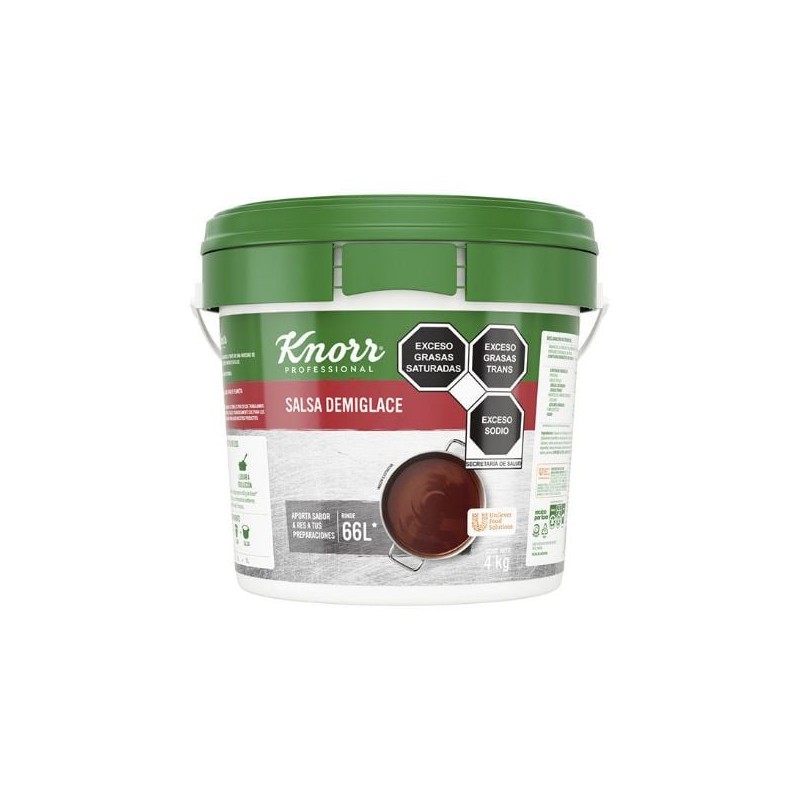 Salsa Demiglace Knorr Cubeta 4 Kg