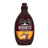Jarabe de Chocolate Squeeze 589 Gr Hershey SYRUP