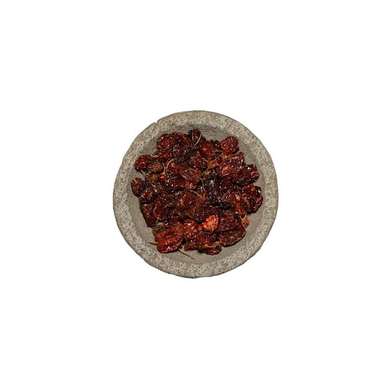 Chile Canica Chef & Hotel Bolsa de 1 Kg