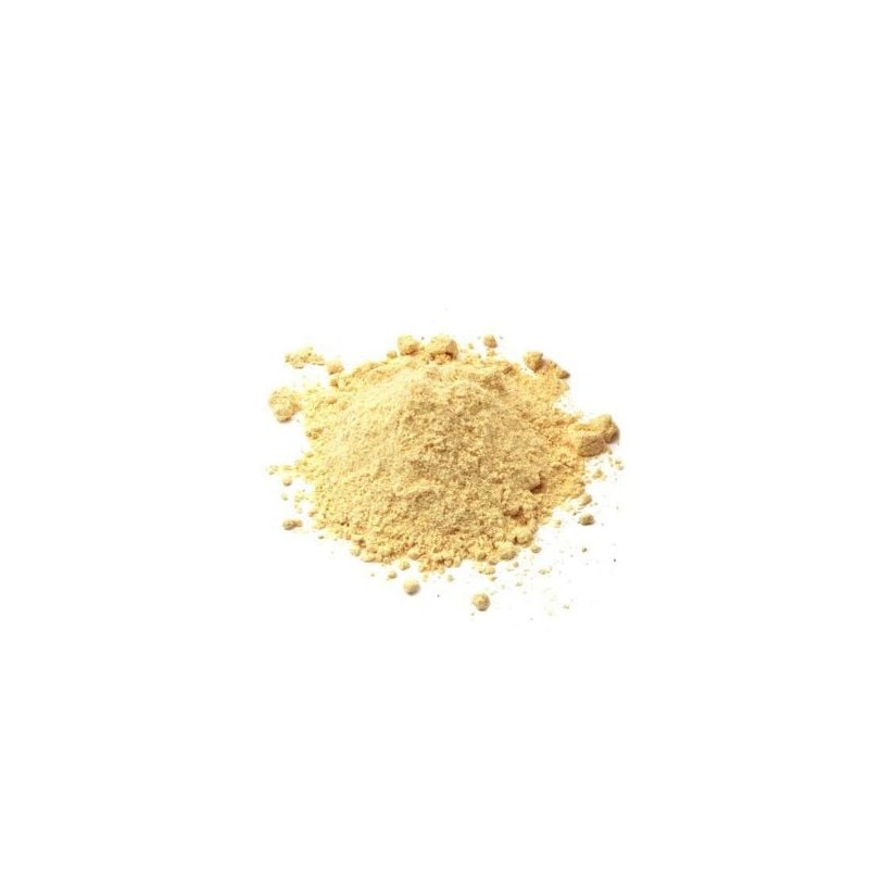 Jengibre Molido Chef&Hotel 500 Gr. Frasco