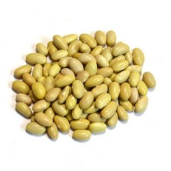 Frijol peruano Labrador 1 Kg