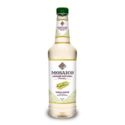 Jarabe Natural Mosaico 1 L.