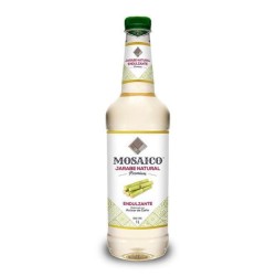 Jarabe Natural Mosaico 1 L.